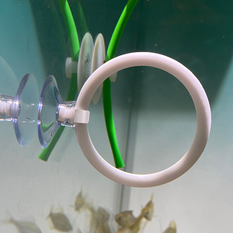 1pcs Plastic Fish Tank Aquariu - đánh giá và giá Gymnastic Ring